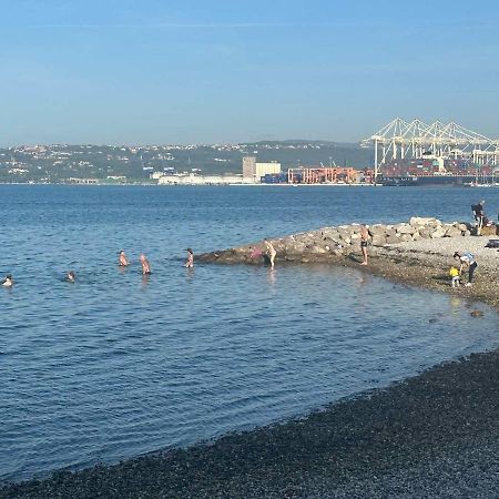 At Alex Apartments Koper Bagian luar foto